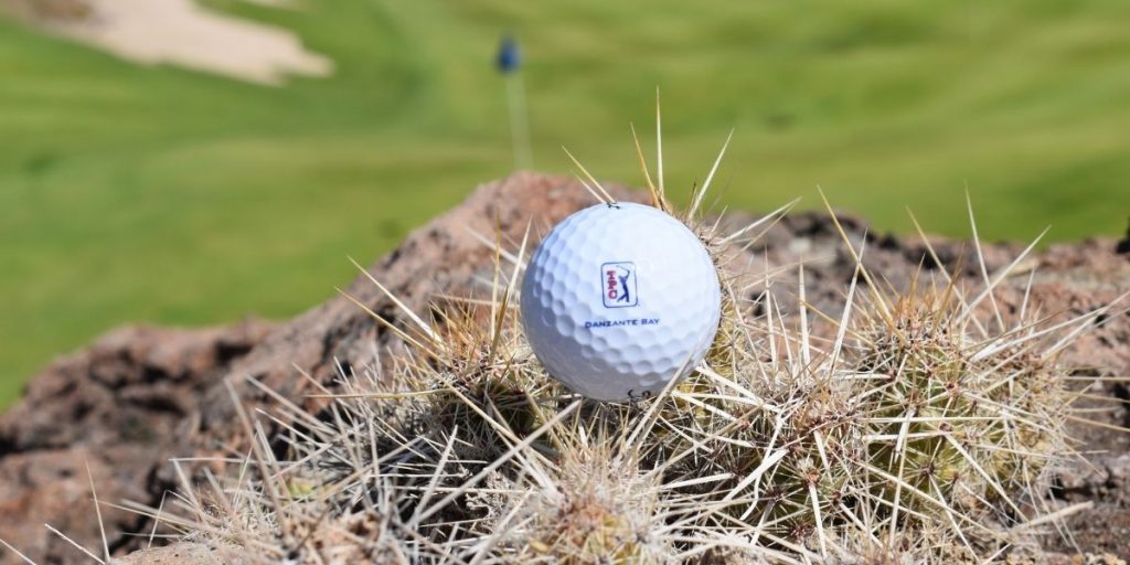 Cactus on the Course