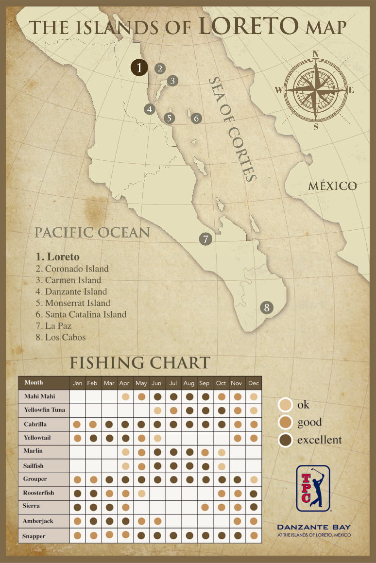 Fishing Species in Loreto Chart by Month