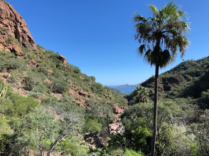 tabor canyon things to do in loreto baja mexico