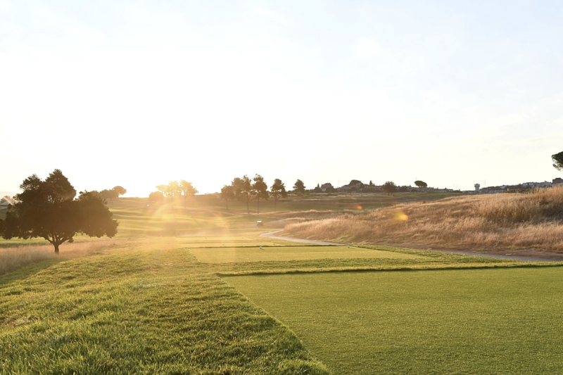 The Ryder Cup: Match Play at its Best