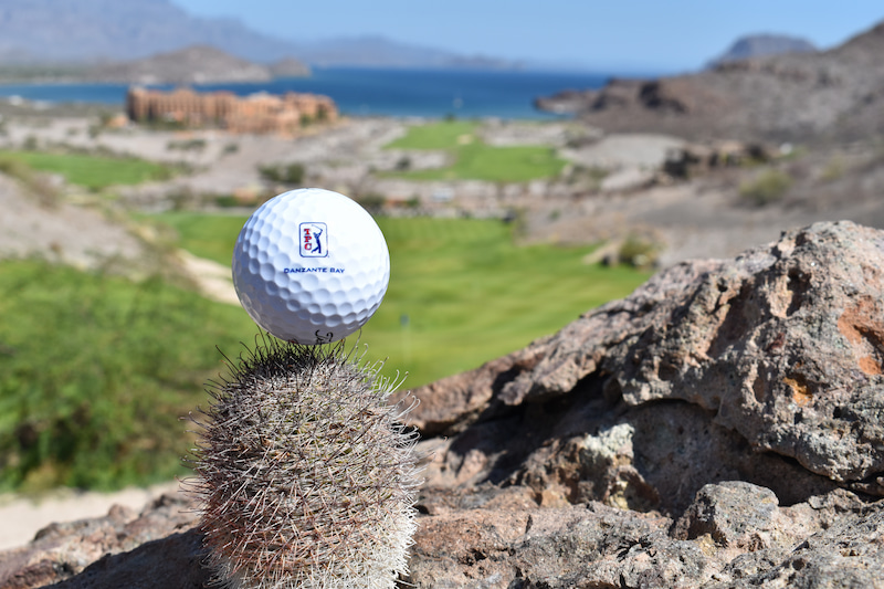 golf ball with tpc danzante bay as background