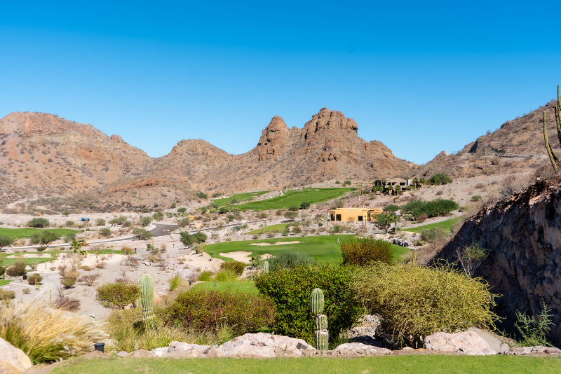 tpc-danzante-bay-sunset-golf-tee-times-tips-and-what-to-expect